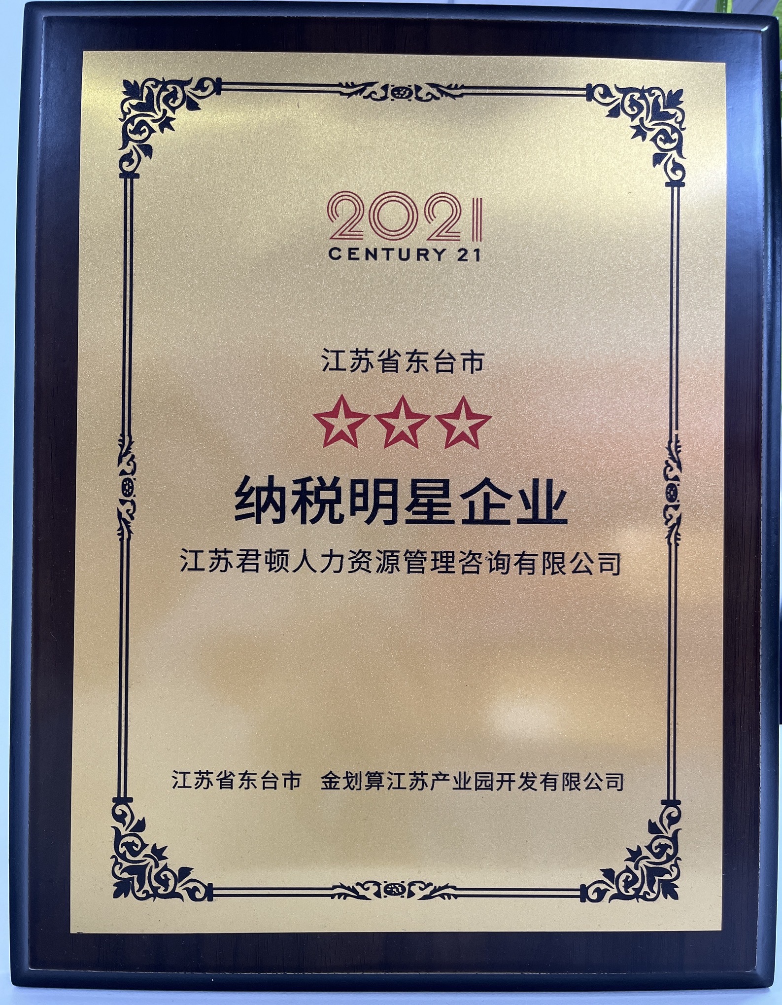 2021年度江苏东台纳税明星企业